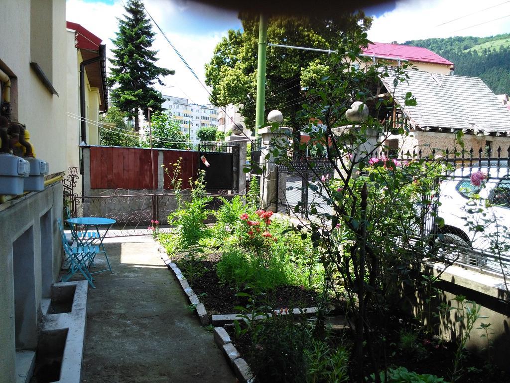 Apartament Nora Брашов Екстер'єр фото